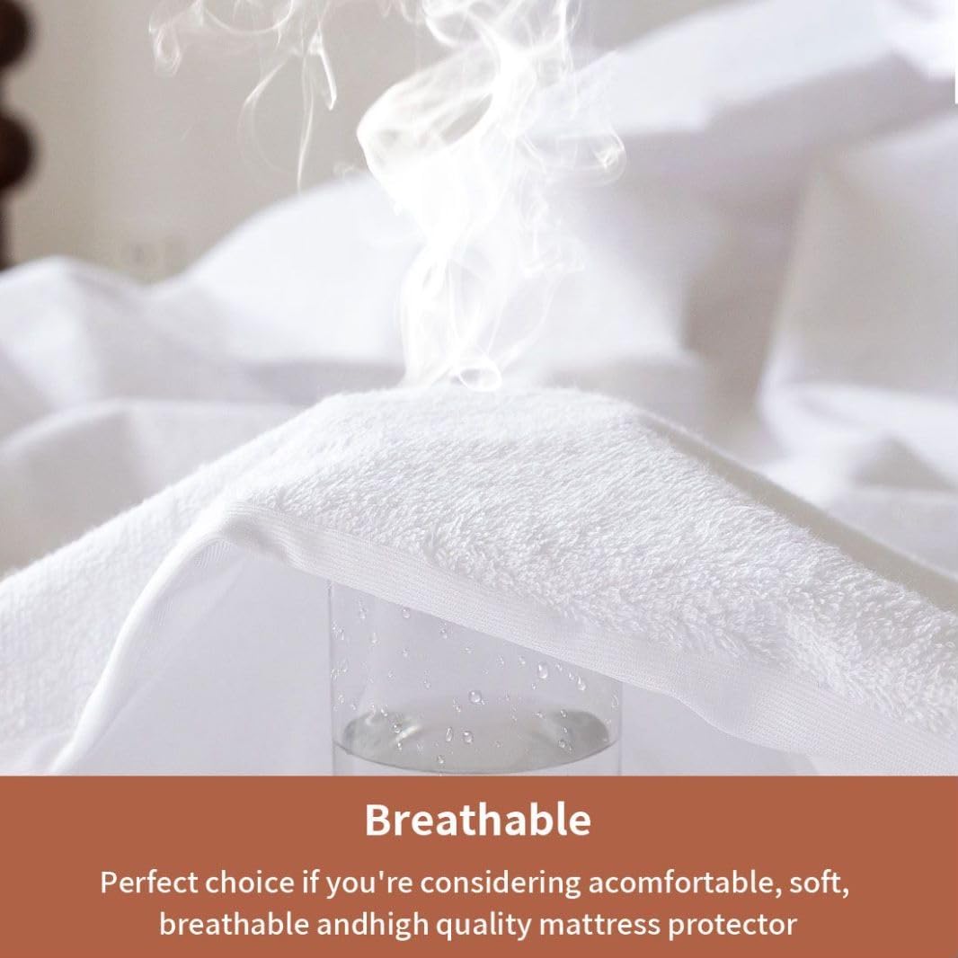 Terry Mattress Protector (TT)